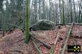 Findling 1 bei Haselberg nahe Wierzen in der Märkischen Schweiz, Brandenburg, (D) (6) 24. Januar 2016.JPG